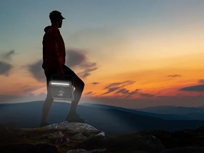 Warmco D4 Portable Desk Fan Rechargeable 20000mAh Camping Fan with Light,48Hrs Run Time 8" Silent Personal Fan Digital Display